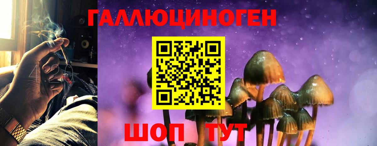 Псилоцибиновые грибы ЛСД  Псилоцибиновые грибы GOLDEN TEACHER  Вход с VPN  где найти   Донецк 
